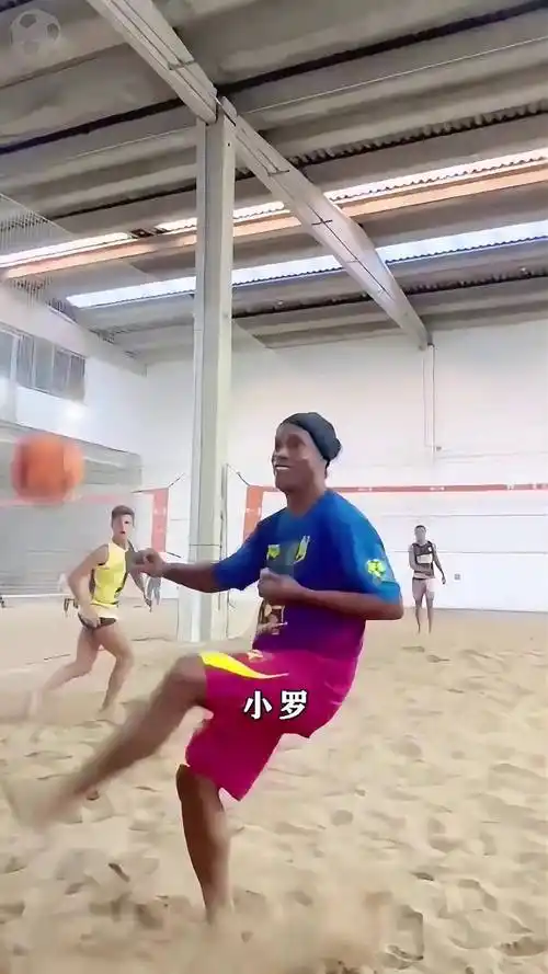 引进了多名